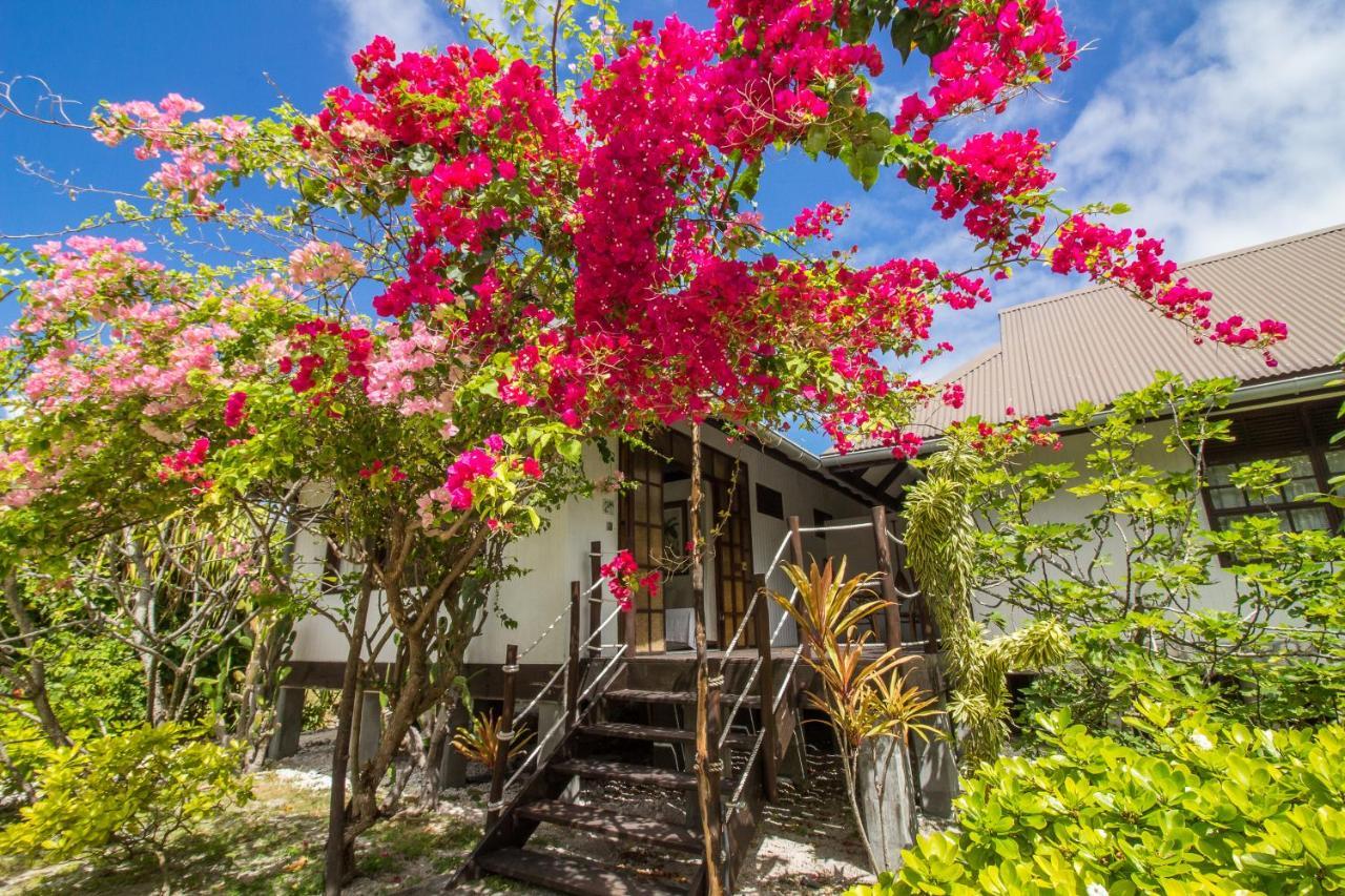 Le Coconut Lodge Avatoru Exterior foto